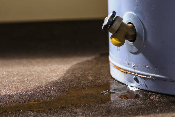 Best Water damage contractors near me  in West Belmar, NJ