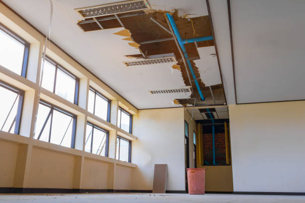 Best Flooded house restoration  in West Belmar, NJ