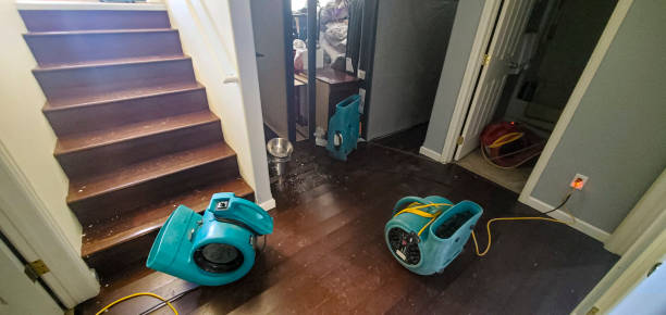 Best Water damage restoration insurance claims  in West Belmar, NJ