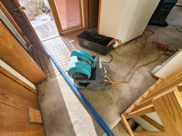 Best 24-hour water damage restoration  in West Belmar, NJ