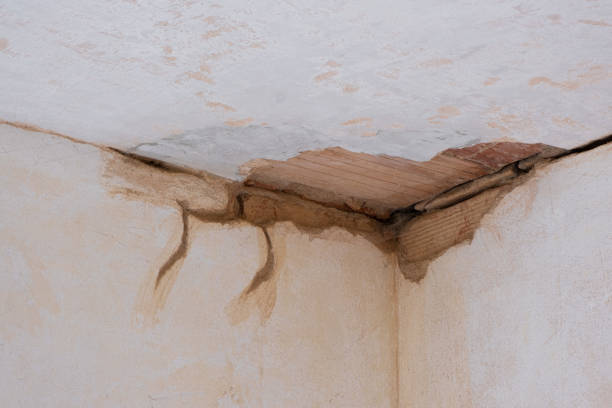 Best Local water damage restoration  in West Belmar, NJ