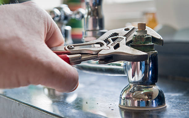 Best Water damage cleanup near me  in West Belmar, NJ