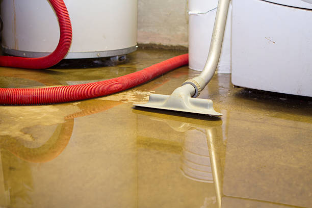 Best Flood restoration services  in West Belmar, NJ