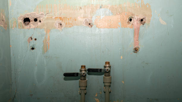 Best Water damage restoration near me  in West Belmar, NJ