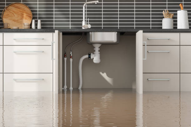 Professional Water damage restoration in West Belmar, NJ