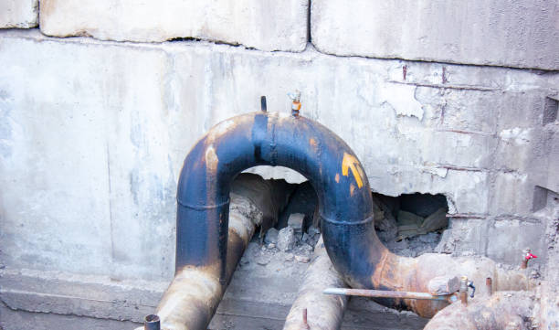 Best Water damage cleanup near me  in West Belmar, NJ