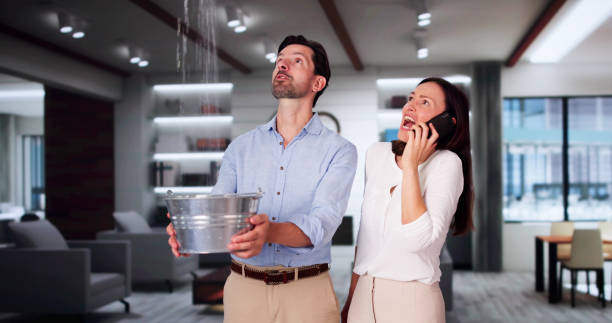  West Belmar, NJ Water damage restoration Pros