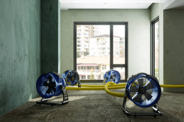 Best Fire Damage Restoration  in West Belmar, NJ